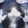 ɹıɹoɯ ǝqǝp ɹǝpɯƎ profil fotoğrafı