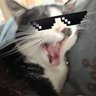 かったー's profile picture