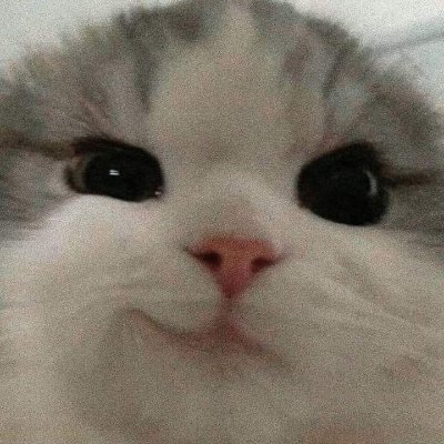 snwbbei's profile picture