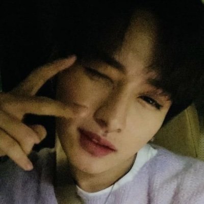 fox & ●ᴥ●'s profile picture
