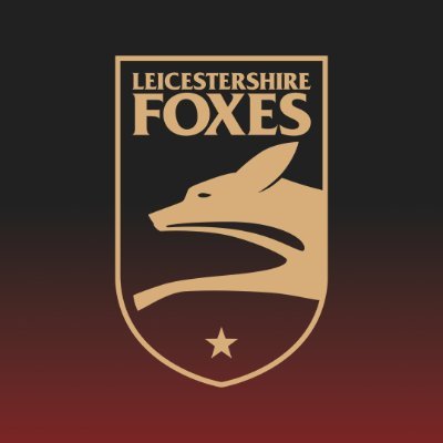 leicsccc's profile picture