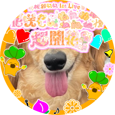 Nw8Ui6LiSA's profile picture