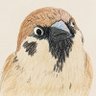 Profilbild von namu
