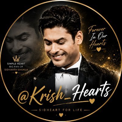 Krish_Hearts's profile picture
