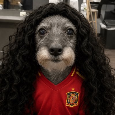 pedro's profile picture