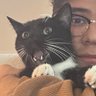 gogoDiego's profile picture
