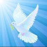 Peace 🕊️ profil fotoğrafı