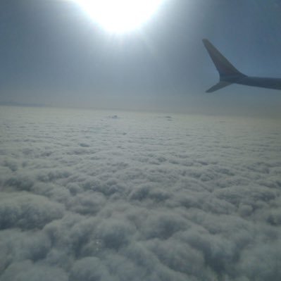 olabiisii1's profile picture