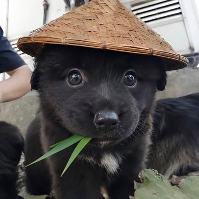 aleee's profile picture