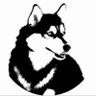 にじいろの犬🦮🌟🇯🇵's profile picture