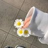 Ai Jung's profile picture