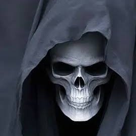 qzerdf's profile picture