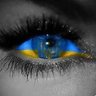 пані Ганна 🇺🇦🇪🇺 profil fotoğrafı