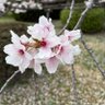 ゆうた 的头像