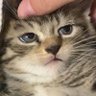 noitt's profile picture