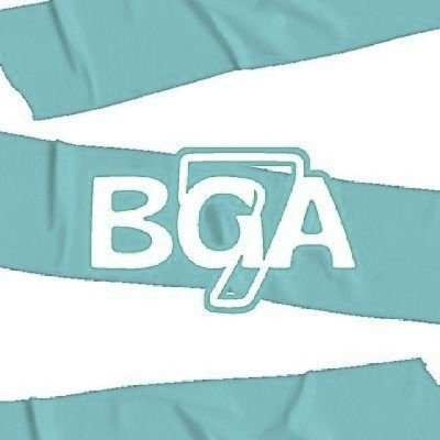 bluegreyarmy's profile picture