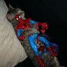 Peter's profile picture