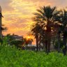 Profilbild von ابو عـــبــدالله