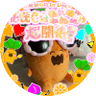 ビクター🐏🍑🥟🌸🐝🍃🎹✨🐧⚡️ 的头像