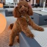 Jessica profil fotoğrafı