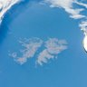 Profilbild von Juliana Arias ❄️🏔️✌🏽🤟🏽✊🏼💜🍉
