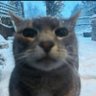 ‘ profil fotoğrafı