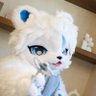 꽁꽁이/コンコン 002 🐻❄️❄️ 🔜 FUR:RAID's profile picture
