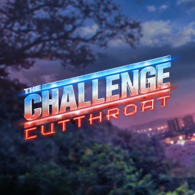TheChallenge's profile picture