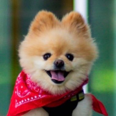 NJ Conservative's profile picture