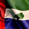 العمودي ابوحمزة's profile picture