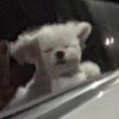 ꒰⸝⸝•เรียกข้าว่า “เว่ย เว่ย”•⸝⸝꒱🧸's profile picture