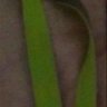 Profilbild von Christopher Monroe Thumper