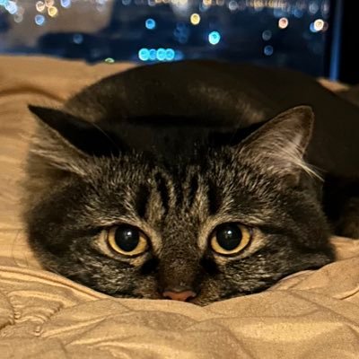 notyourdarleen's profile picture
