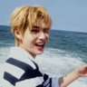 NEAERI⁷ 的头像