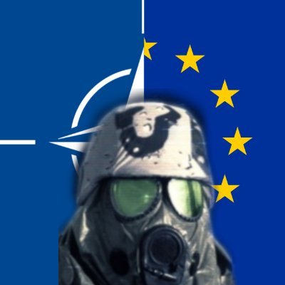 Goontherite🇪🇺🇭🇺🇺🇦TZD's profile picture