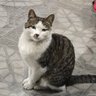 xihao chen profil fotoğrafı