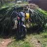 RURALMAN!'s profile picture