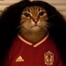 Profilbild von ℂ𝕦𝕔𝕦𝕘𝕒𝕥𝕠 🇪🇸