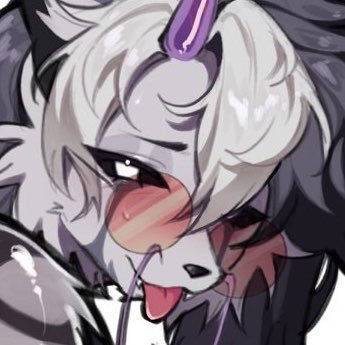 sharkbarksss's profile picture