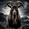 JAMMY_FX profil fotoğrafı