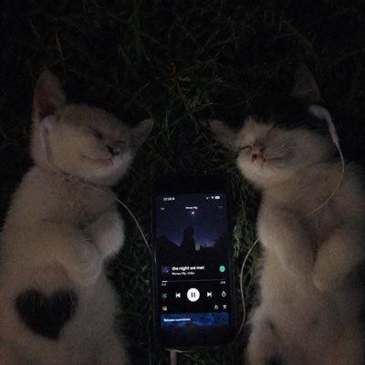 jolie's profile picture