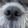nallyg's profile picture