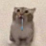 niss's profile picture