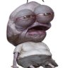 wicho's profile picture