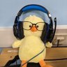 zzzzzz's profile picture