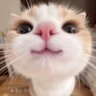 ppaarriiyy's profile picture