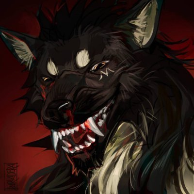 ZaxW0lf's profile picture