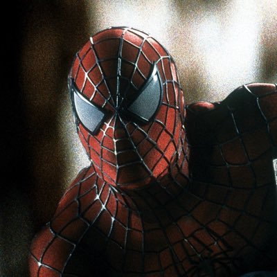 silksonghater's profile picture