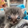 Фото профиля Wooperthederp