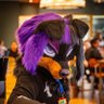Profilbild von ๐Rottie Queen๐ค ๐๐๐